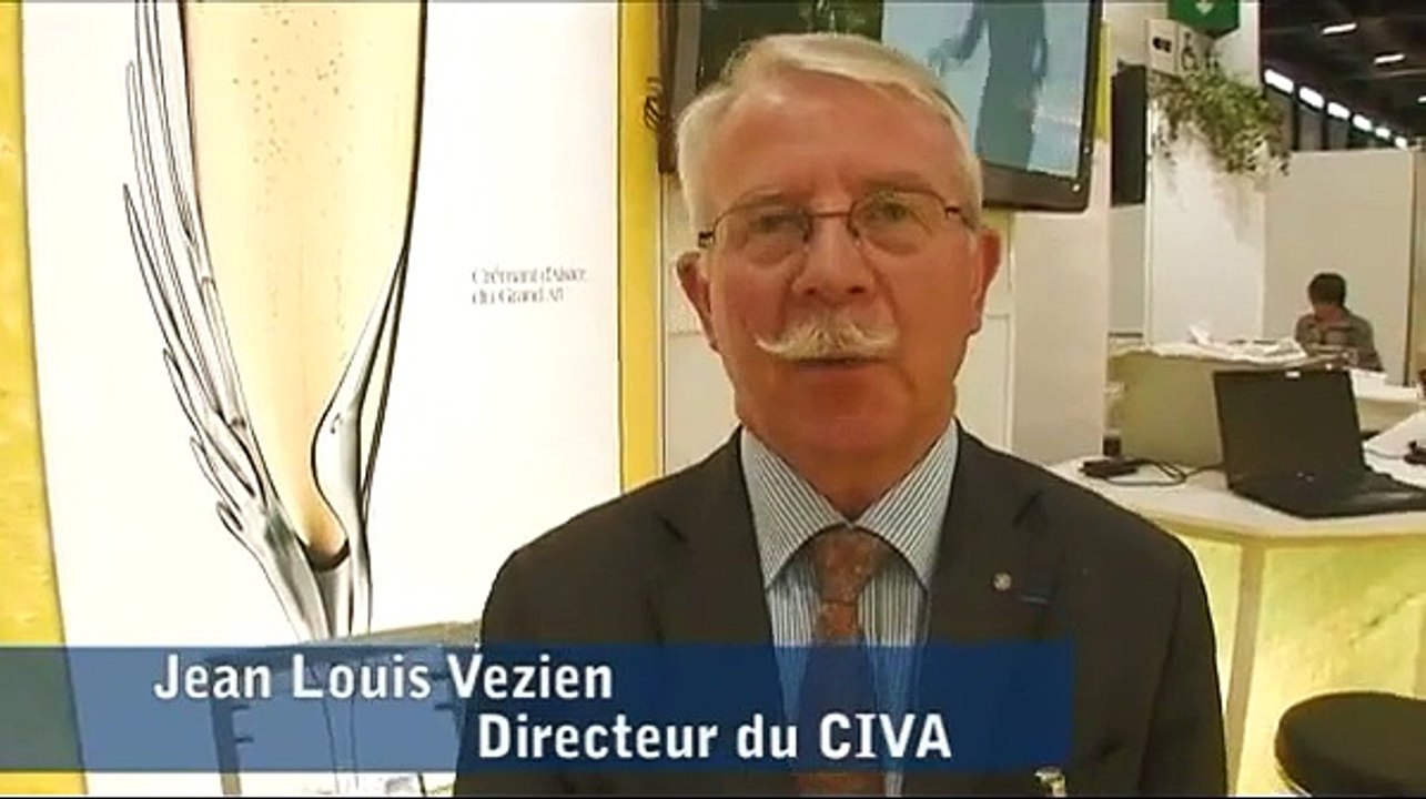 Présentation du stand des Vins d'Alsace à Vinexpo 2011