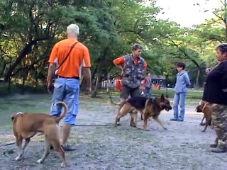 Jack a Népszigeten 04.28. IV.