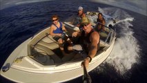 Humpback Whales in Hawaii ~ Close Encounter caught on GoPro Hero 3 Black