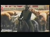 RDVideo - COEUR D LENAS BAR - Quarter Horse stallion - video promozionale