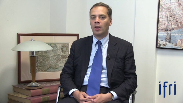 Russia New Energy Alliances: Mythology versus Reality - Vladimir MILOV