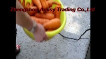 Carrot Mud Cutting Machine, Vegetable Mud Cutting Machine, Vegetable Slurry Cutter