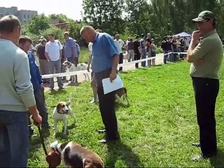 Львівська обл.  виставка мисл . собак   частина 2