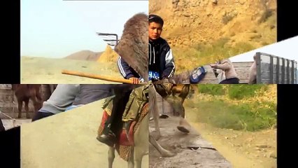 В ПУТЕШЕСТВИЕ ПО ТУРКМЕНИИ