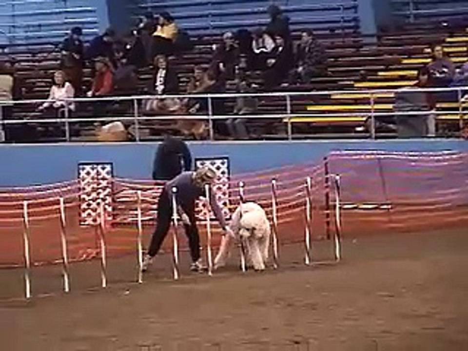 2004 selected clips