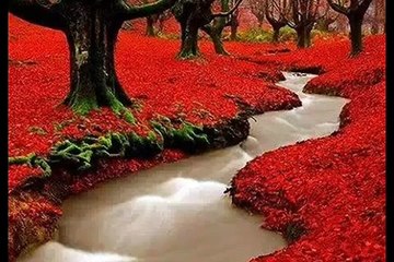 Liye Je  Ae-www.dailymotion.com/humsab561