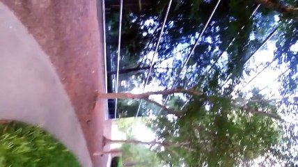 training center raleigh NC