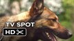 Max TV SPOT - Every Family Needs A Hero (2015) - War Dog Drama HD