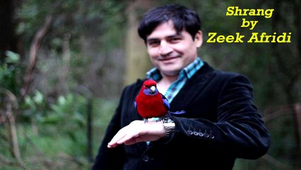 Zeek Afridi | "Shrang" | Audio Jukebox
