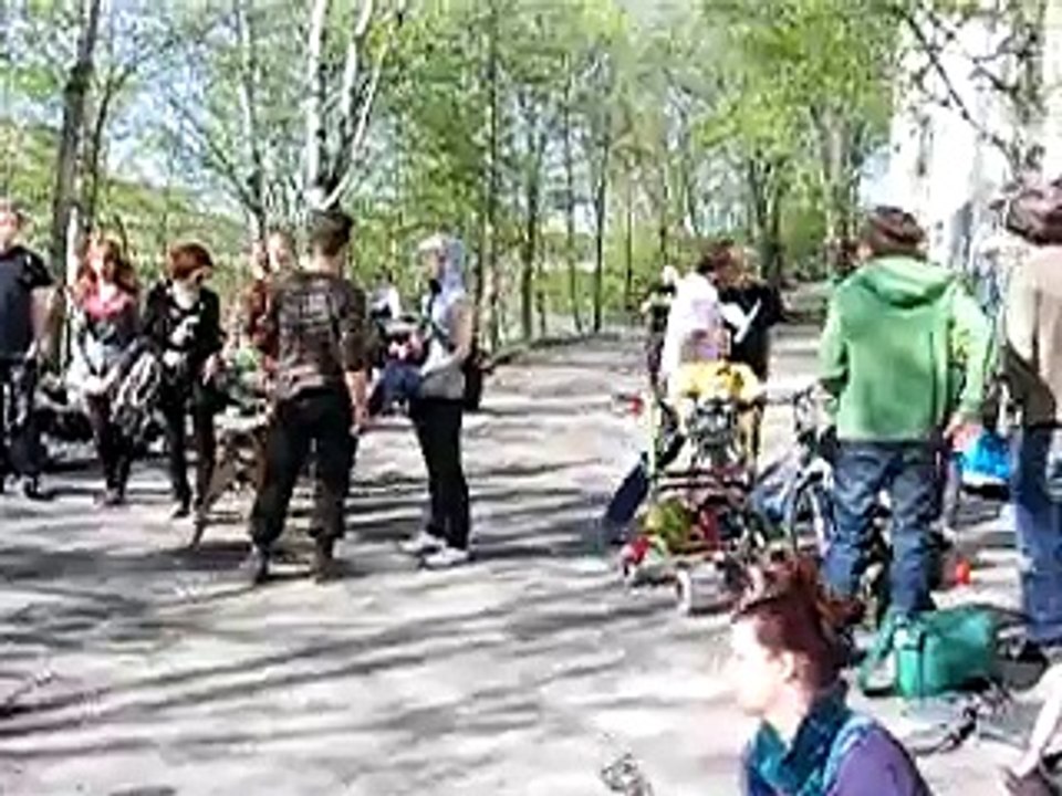 Vapaan kulttuurin festivaalin 2009 piknik Jokikadulla