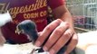 Hand feeding eclectus baby