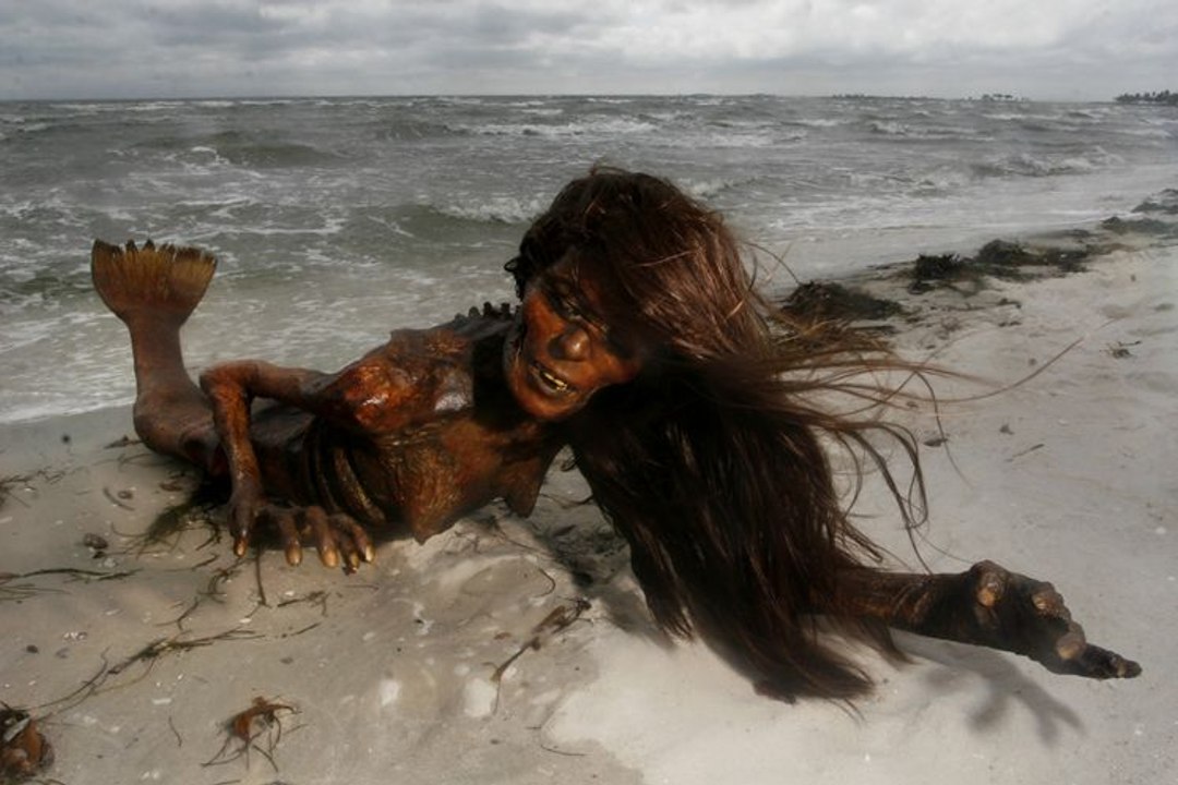 They Found Real Life Mermaid On The Shore Then This Happens