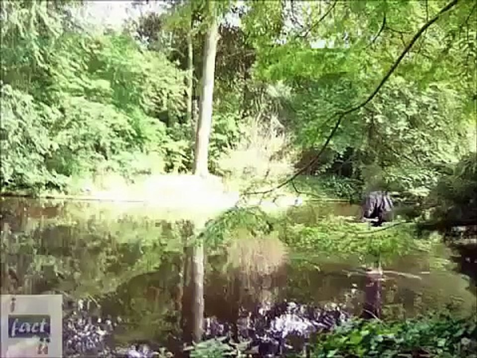 Dynamo Walks on Water REVEALED Criss Angel walking: Magic Tricks