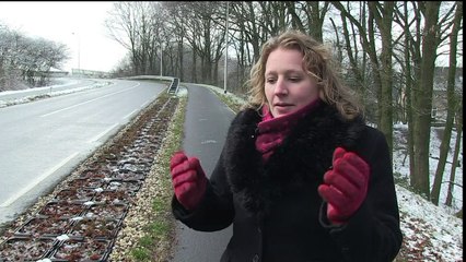 مشروع هولندي لتوليد الكهرباء من نبتات في المياه