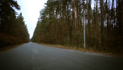 After Effects Project Files - Road Forest Motion Title - VideoHive 10506666