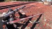 AmTrak Train Takes Out Tomato Truck - Train Crash - Modesto, California News