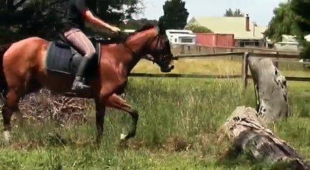 Satin and some small jumps