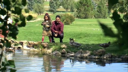 Slip and Fall Lawyer Toronto