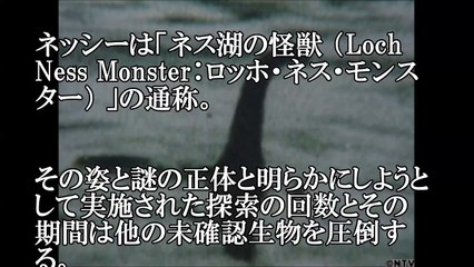 【UMA】～未確認生物・ネッシー～英国スコットランドのネス湖に棲む謎の怪獣 【仰天】世界の衝撃生物大図鑑
