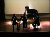 Haydn London Trio No 3 Flute: Halit Turgay/Violin: Ruzgar Turgay/ Cello:  Münif AkalinDVDClip3.mpg