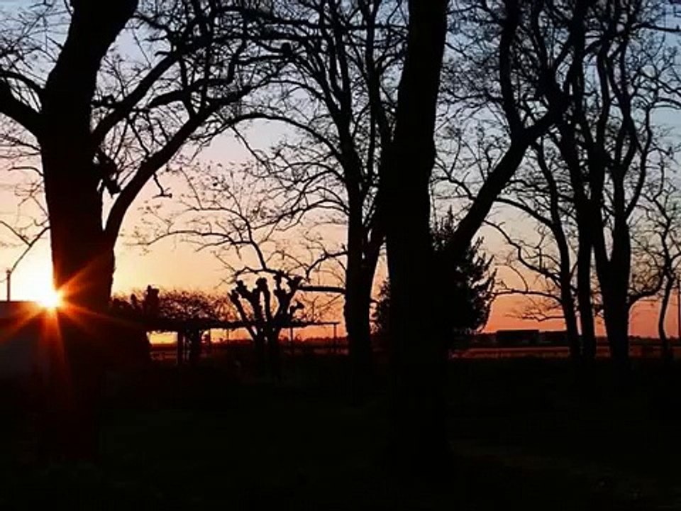 Todo cambia y todo se termina - Diego Torres