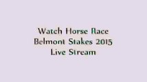 TVG USA` 2015 Live Stream~ Watch Horse Racing {147th} HPQ Update, News, Coverages