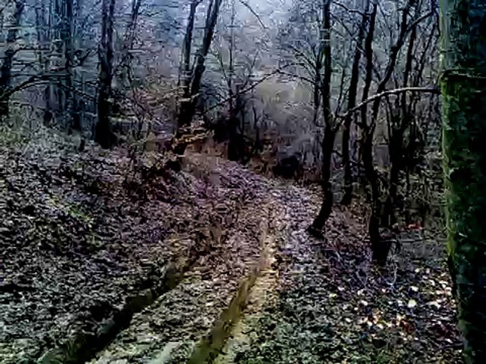 Traktor IMT 542 vs Neeema sanse-Pinosava Racing mp4