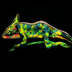 United colors of Nature! The STRIKING ENDING!