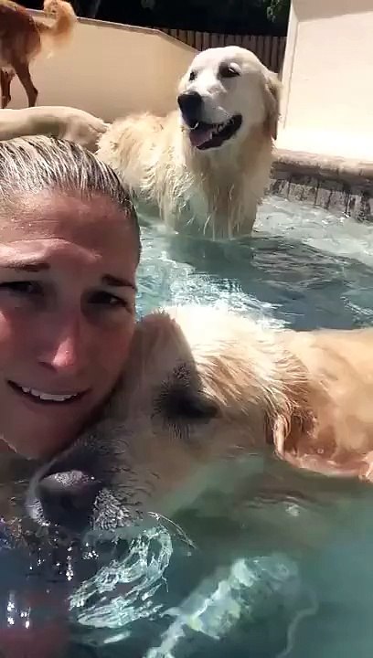 Ce chien qui fait des Bulles sous l'eau est vraiment trop mignon