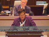2. Teil Landtag billigt wieder einmal EU-Diktat zur Heringsfangquote