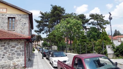 Μουσείο φυσικής ιστορίας, Αριδαία3