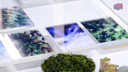 Singapour en France - le Festival : Explorations Urbaines aux ateliers D.Valero