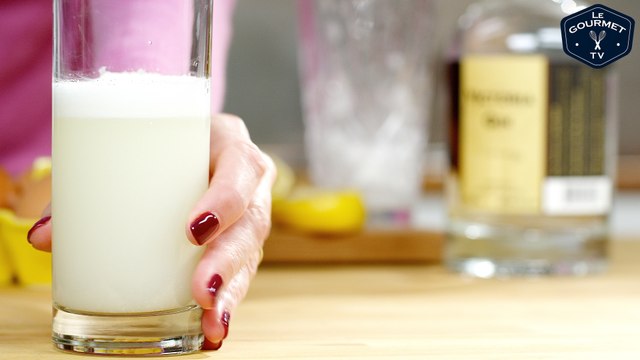 Gin Fizz Cocktail Recipe