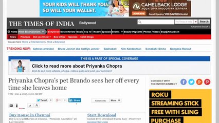 Priyanka Chopra's Pet Brando Sees Her Off Every Time She Leaves Home-RNWQBSpLP-E