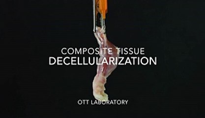 La première patte de rat cultivée en laboratoire