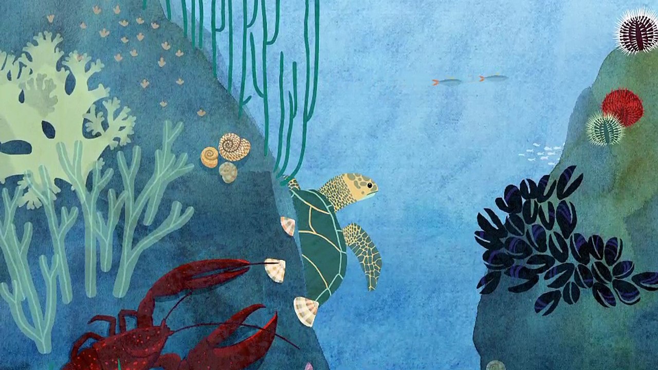 Acidification des océans