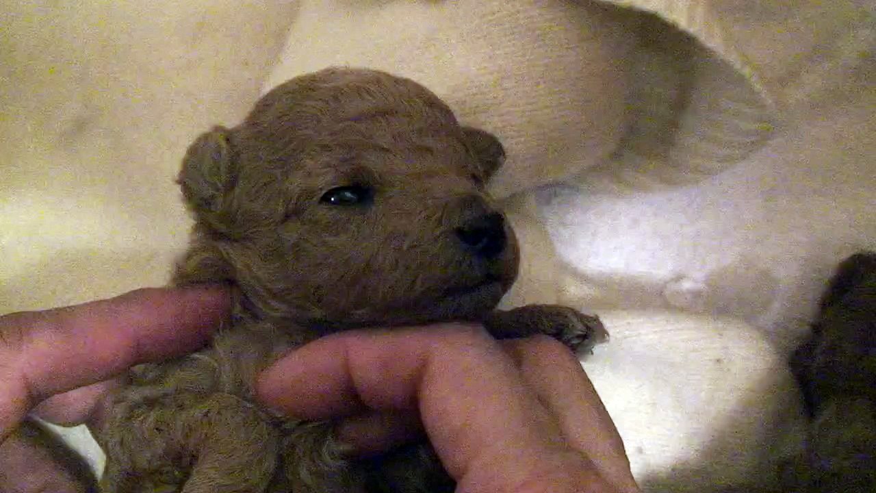 赤ちゃんの目が開き始めました（2日目）☆20090112210950.m2ts