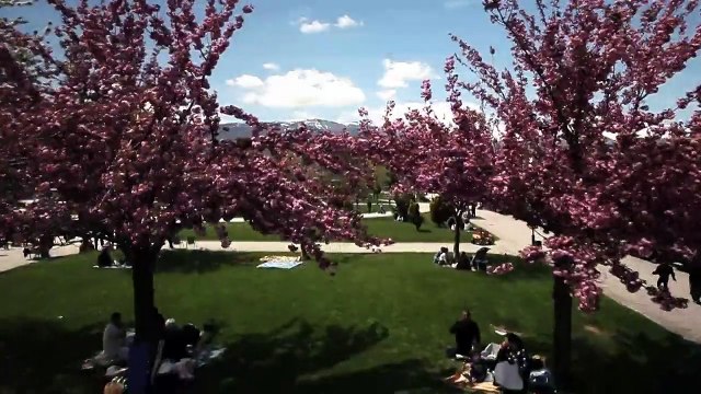 Visit Struga - Struga Production