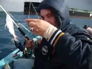 شراغيش اسكندرية فى المكس 27.11.2011 صيد تسقيط