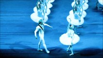 Ekaterina Krysanova, Dmitry Gudanov - Swan Lake - II
