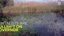 Environmentalists Call Bullsh*t On Florida Gov. Rick Scott