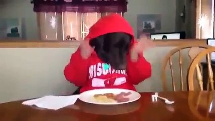 Sabah Kahvaltısı yapan Köpek