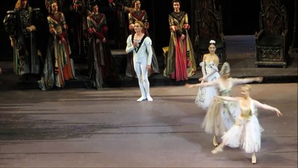 Ekaterina Krysanova, Dmitry Gudanov - Swan Lake - III