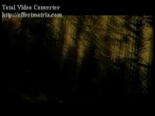 Arckanum- gava fran trulen