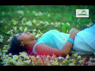 Poo Maalayae from Pagal Nilavu HQ isaibox from TVCD