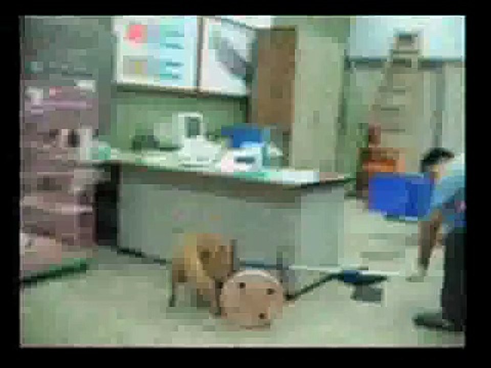 dogs in Taiwan 當前台灣虐狗實錄 ( DOG 2 )