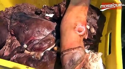 عاجل : شاهد ماذا وجدوا اليوم في باب دزيرة :o هذا شمازال :o