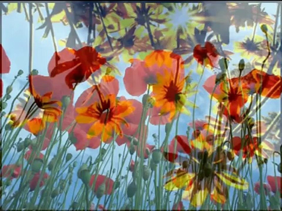 Rondo veneziano - Puerta del Sol