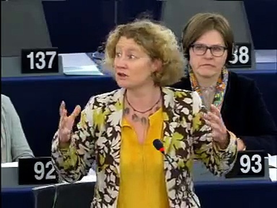 Judith Sargentini - Conflict minerals