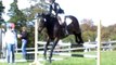 Show jumping and Cross country at novice level